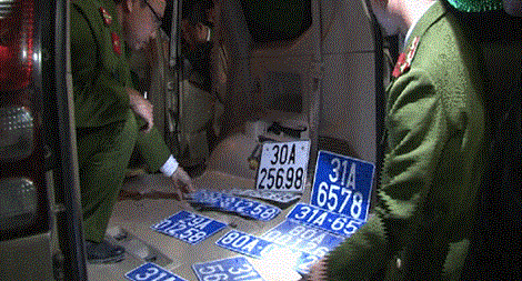 Vận chuyển 400kg động vật hoang dã quý hiếm và nhiều BKS giả