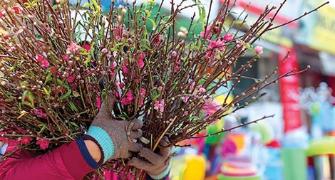 Tâm sự các nhà văn tuổi gà…