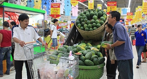 Trăn trở khát vọng đưa Việt Nam trở thành cường quốc về nông nghiệp