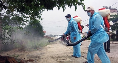 Bệnh do vi rút Zika sẽ trở thành bệnh dịch lưu hành