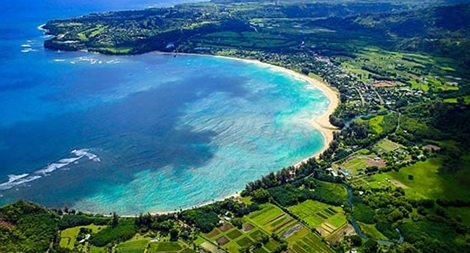 Xanh mộc – Xanh dương: Cặp đôi hoàn hảo của kiến trúc đương đại