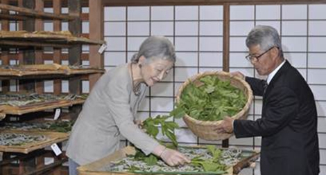 Nhật hoàng Akihito và Hoàng hậu cũng dành tình yêu cho khoa học và thi ca