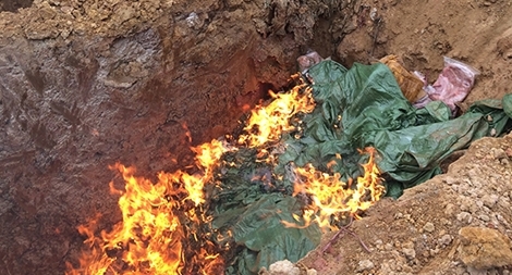 Ngăn dịch cúm A/H7N9 từ biên giới: Nỗ lực để ngăn chặn dịch