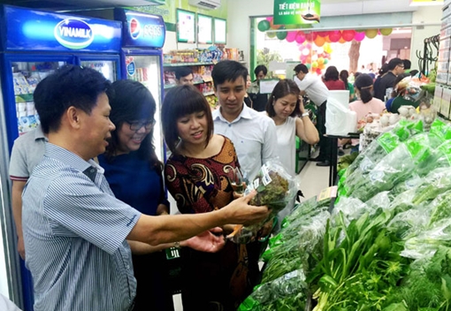 Hiệu ứng từ chương trình bình ổn thị trường