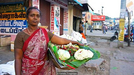 Nghịch lý trong ngành kinh doanh hoa nhài và chưng cất tinh dầu từ hoa