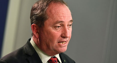 Ồn ào chuyện Phó Thủ tướng Australia mang hai quốc tịch