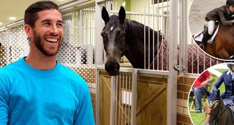 Tuyển thủ Sergio Ramos chuyển nghề nuôi ngựa đua