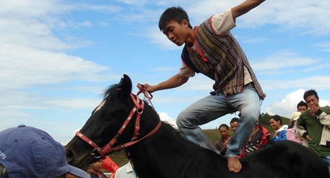 Kỵ mã trên thảo nguyên Lang Biang