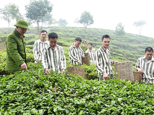 Trại giam Hồng Ca: Làm tốt công tác cảm hóa, giáo dục phạm nhân