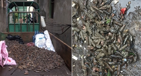 Thu gom được hơn 3 tấn đầu đạn sau vụ nổ ở Bắc Ninh