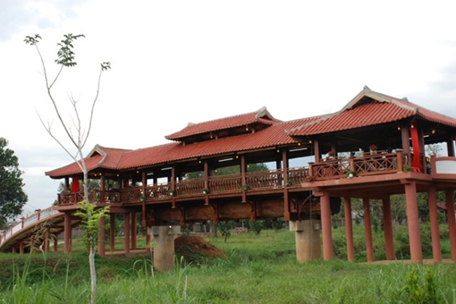 Bình Phước có cây cầu thân gỗ dài nhất Việt Nam