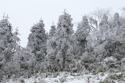 Đợt rét đậm, rét hại còn kéo dài trong 10 ngày
