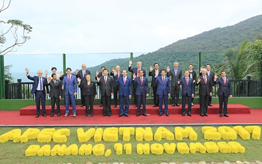 Vị ngọt trong quả đắng