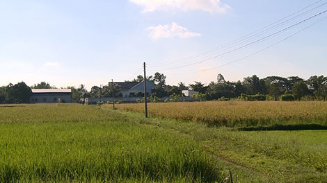 Biệt thự bí ẩn giữa cánh đồng vắng