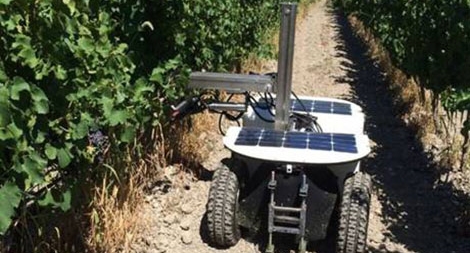 Những robot trên cánh đồng