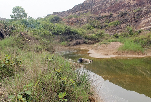 Thi công đường, phát hiện thi thể nam thanh niên