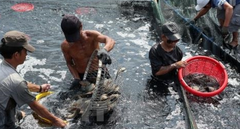 Chỉ đạo của Thủ tướng về xây dựng cơ chế, chính sách, pháp luật