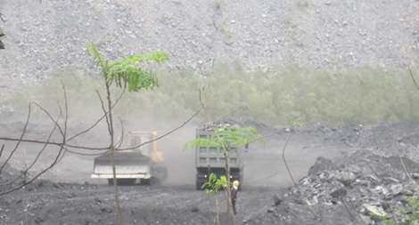 Có hay không việc Công ty Vietmindo khai thác than sai phép?