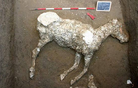 Phát hiện mới về thành phố cổ Pompeii