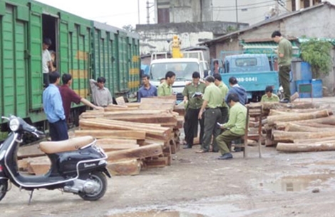 Ba công chức Hải quan đã giúp sức vụ buôn lậu hơn 600m3 gỗ