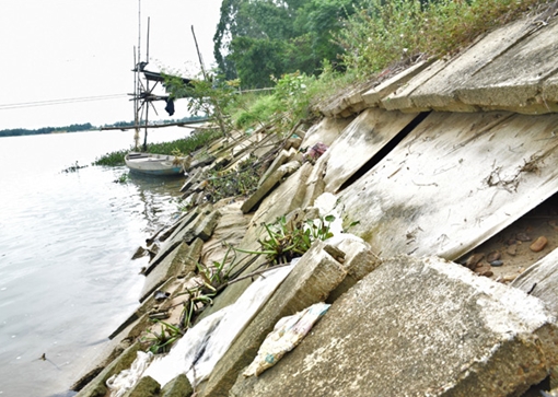 Nhiều tuyến kè dọc sông Thu Bồn bị hư hỏng nặng
