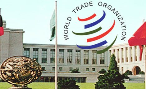 WTO và bài toán cải tổ