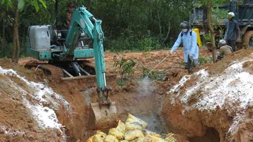 Tái phát dịch cúm gia cầm A/H5N6
