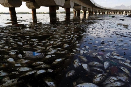 Những bức ảnh gây nhức nhối về ô nhiễm môi trường