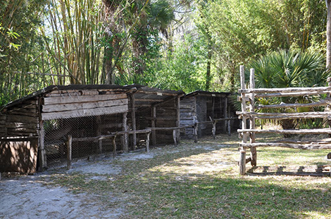 Cái chết bí ẩn của “Tarzan rừng già Florida”