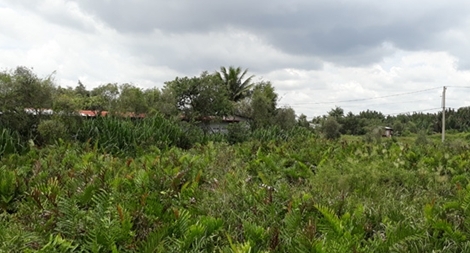 Lộ “chiêu” thoái vốn Nhà nước, “ôm” 156ha đất công chỉ với giá 745 tỷ đồng