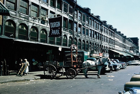 Cuộc sống ở Mỹ những năm 1950 như thế nào?