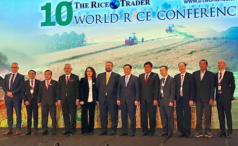 Tổng công ty thương mại Hà Nội (Hapro) xúc tiến xuất khẩu tại Hội nghị Gạo thế giới lần thứ 10