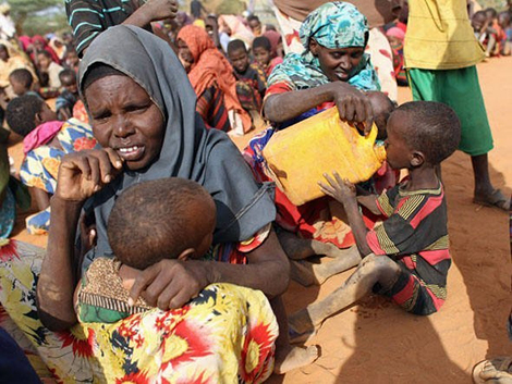 Vấn đề an ninh lương thực: Cuộc chiến chống đói nghèo trên toàn cầu