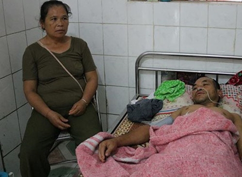 Bị ong vò vẽ tấn công, 11 người nhập viện