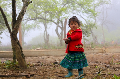 Ấn tượng khó phai về mùa hoa trên bản Phiêng Cành