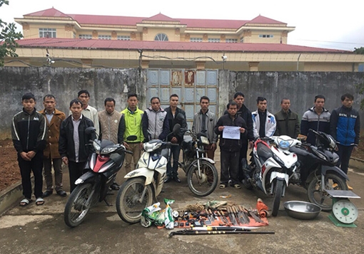 Công an huyện Tân Uyên bắt giữ 15 đối tượng trộm trâu bò