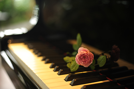 Những cung bậc cảm xúc mùa xuân