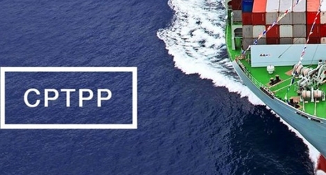 Trình Quốc hội “Luật sửa một số luật để thực thi Hiệp định CPTPP” vào tháng 5-2019