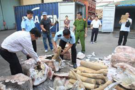 Ngăn chặn dòng chảy của ngà voi, vảy tê tê từ Nigeria đến châu Á