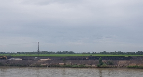 Cảnh báo việc ồ ạt tăng diện tích nuôi cá tra