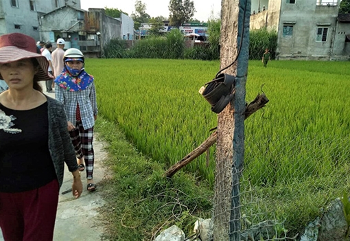 Vợ chết, chồng bất tỉnh tại ruộng lúa nghi bị điện giật