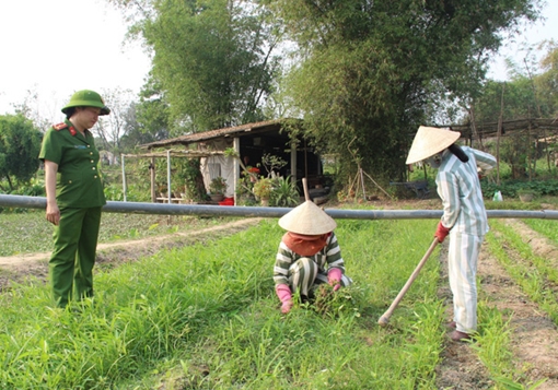 Những “bông hồng” gieo mầm thiện
