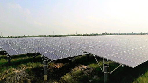 “Sếu đầu đàn” năng lượng sạch