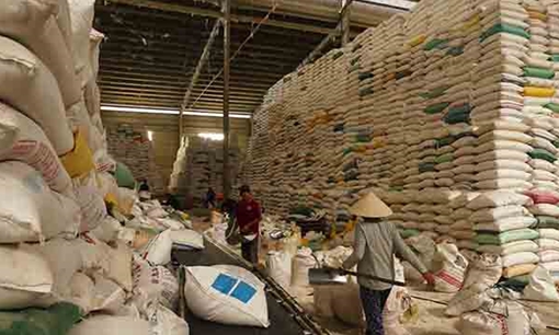 CPTPP mở ra cơ hội lớn cho các mặt hàng nông sản Đồng bằng sông Cửu Long