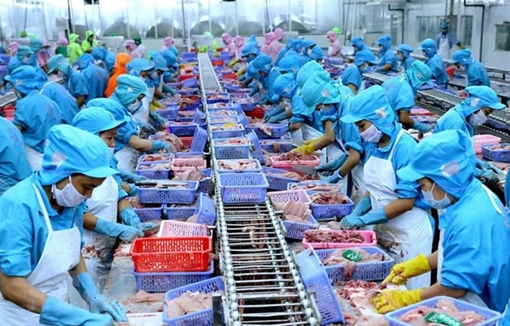 Hỗ trợ doanh nghiệp thủy sản thực hiện quy định mức tiêu hao năng lượng