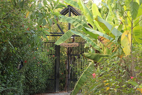 Khi cuộc sống như một món quà