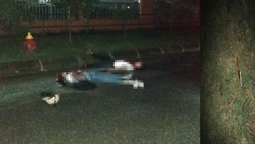 Nghi phạm sát hại bạn gái đã tử vong sau 3 ngày gây án