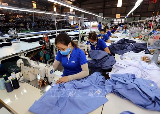 CPTPP mang lại cơ hội được giảm thuế rất lớn