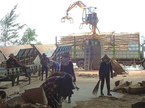 Mặt trái của việc chế biến dăm gỗ bán qua cửa khẩu Lao Bảo