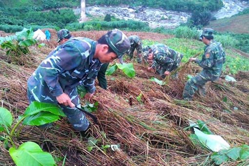 Chung tay giữ bình yên biên giới